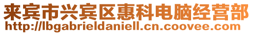 來賓市興賓區惠科電腦經營部
