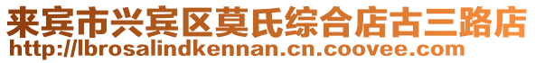 來賓市興賓區(qū)莫氏綜合店古三路店