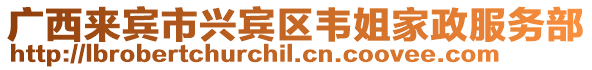 廣西來賓市興賓區韋姐家政服務部