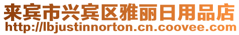 來賓市興賓區雅麗日用品店