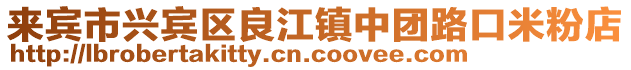 來賓市興賓區(qū)良江鎮(zhèn)中團(tuán)路口米粉店