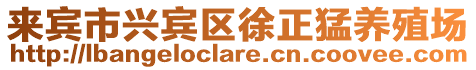 來賓市興賓區(qū)徐正猛養(yǎng)殖場