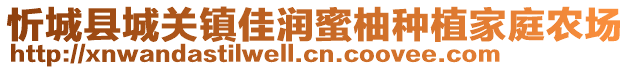 忻城縣城關(guān)鎮(zhèn)佳潤(rùn)蜜柚種植家庭農(nóng)場(chǎng)