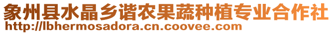 象州縣水晶鄉(xiāng)諧農(nóng)果蔬種植專業(yè)合作社