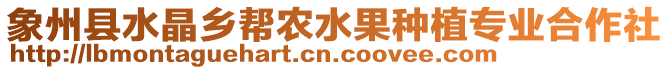 象州縣水晶鄉(xiāng)幫農(nóng)水果種植專業(yè)合作社