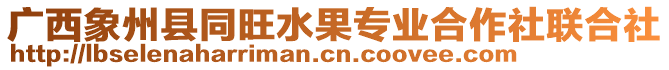 廣西象州縣同旺水果專業(yè)合作社聯(lián)合社