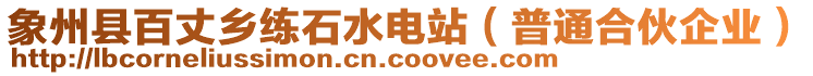 象州縣百丈鄉(xiāng)練石水電站（普通合伙企業(yè)）