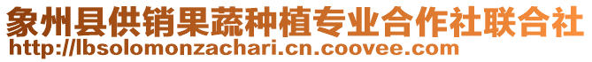 象州縣供銷果蔬種植專業(yè)合作社聯(lián)合社