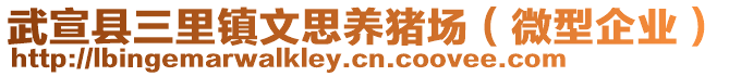 武宣縣三里鎮(zhèn)文思養(yǎng)豬場（微型企業(yè)）