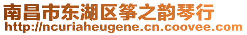 南昌市東湖區(qū)箏之韻琴行