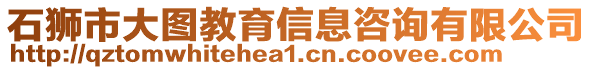 石獅市大圖教育信息咨詢有限公司