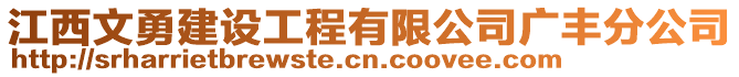 江西文勇建設(shè)工程有限公司廣豐分公司