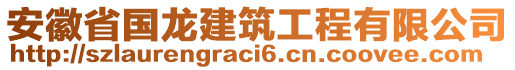 安徽省國龍建筑工程有限公司