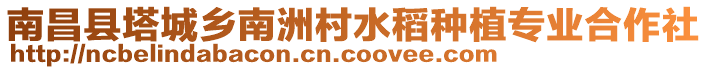 南昌縣塔城鄉(xiāng)南洲村水稻種植專業(yè)合作社