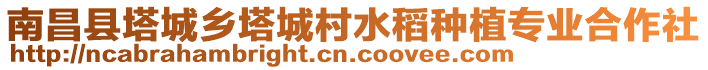 南昌縣塔城鄉(xiāng)塔城村水稻種植專業(yè)合作社