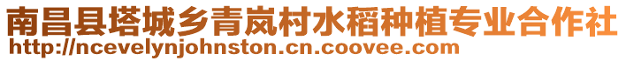 南昌縣塔城鄉(xiāng)青嵐村水稻種植專業(yè)合作社