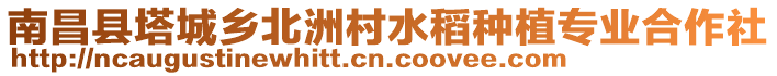 南昌縣塔城鄉(xiāng)北洲村水稻種植專業(yè)合作社