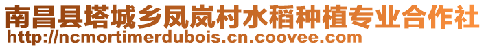 南昌縣塔城鄉(xiāng)鳳嵐村水稻種植專業(yè)合作社