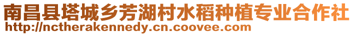 南昌縣塔城鄉(xiāng)芳湖村水稻種植專業(yè)合作社