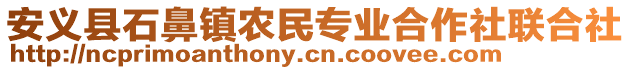 安義縣石鼻鎮(zhèn)農(nóng)民專業(yè)合作社聯(lián)合社