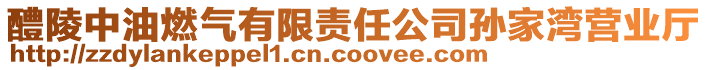 醴陵中油燃?xì)庥邢挢?zé)任公司孫家灣營(yíng)業(yè)廳