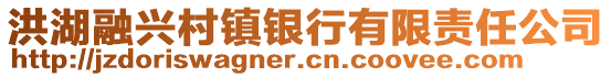 洪湖融興村鎮(zhèn)銀行有限責(zé)任公司