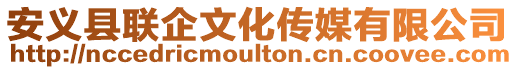 安義縣聯(lián)企文化傳媒有限公司