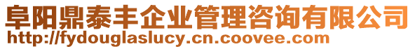 阜陽鼎泰豐企業(yè)管理咨詢有限公司