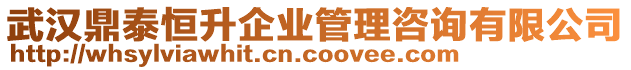 武漢鼎泰恒升企業(yè)管理咨詢有限公司