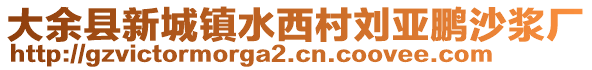 大余縣新城鎮(zhèn)水西村劉亞鵬沙漿廠