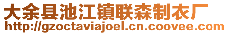 大余縣池江鎮(zhèn)聯(lián)森制衣廠