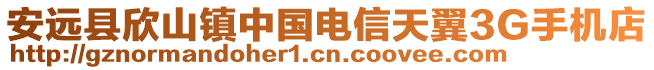 安遠縣欣山鎮(zhèn)中國電信天翼3G手機店