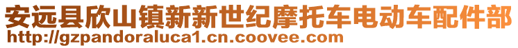 安遠縣欣山鎮新新世紀摩托車電動車配件部