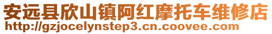 安遠(yuǎn)縣欣山鎮(zhèn)阿紅摩托車維修店