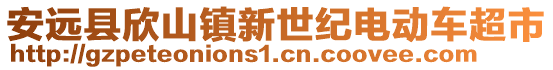 安遠縣欣山鎮新世紀電動車超市