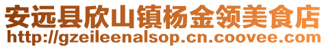 安遠縣欣山鎮楊金領美食店