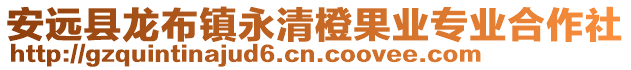 安遠縣龍布鎮永清橙果業專業合作社