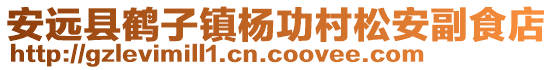 安遠縣鶴子鎮(zhèn)楊功村松安副食店