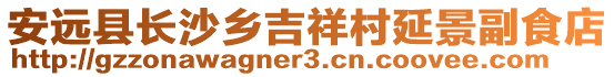 安遠(yuǎn)縣長(zhǎng)沙鄉(xiāng)吉祥村延景副食店