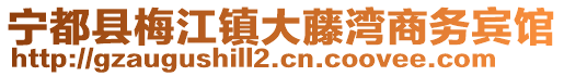 寧都縣梅江鎮(zhèn)大藤灣商務(wù)賓館