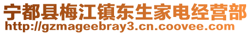 寧都縣梅江鎮東生家電經營部