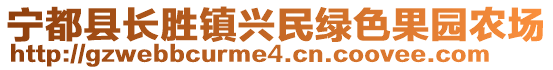 寧都縣長勝鎮(zhèn)興民綠色果園農(nóng)場