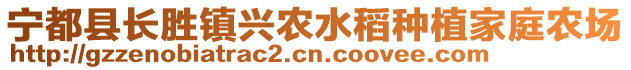 寧都縣長(zhǎng)勝鎮(zhèn)興農(nóng)水稻種植家庭農(nóng)場(chǎng)