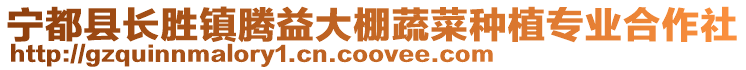 寧都縣長(zhǎng)勝鎮(zhèn)騰益大棚蔬菜種植專業(yè)合作社