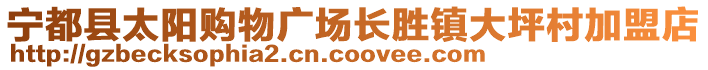 寧都縣太陽購物廣場長勝鎮(zhèn)大坪村加盟店