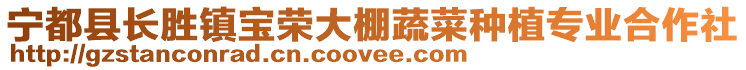 寧都縣長勝鎮(zhèn)寶榮大棚蔬菜種植專業(yè)合作社