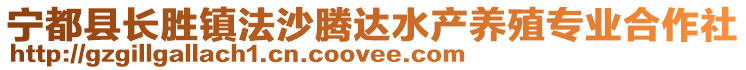 寧都縣長勝鎮(zhèn)法沙騰達(dá)水產(chǎn)養(yǎng)殖專業(yè)合作社