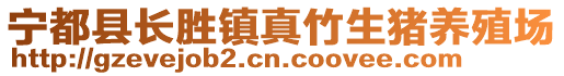 寧都縣長(zhǎng)勝鎮(zhèn)真竹生豬養(yǎng)殖場(chǎng)