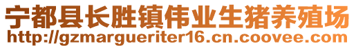 寧都縣長勝鎮偉業生豬養殖場