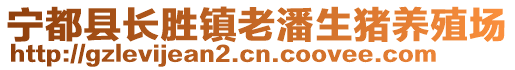 寧都縣長勝鎮老潘生豬養殖場